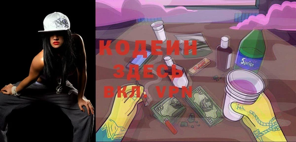дмт Кодинск