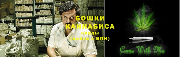 дмт Кодинск