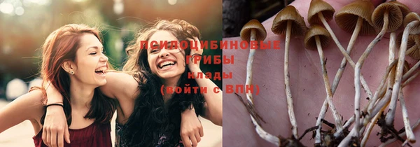 MESCALINE Козловка